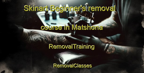 Skinart Beginner's removal course in Matshona | RemovalTraining | RemovalClasses | SkinartTraining-South Africa