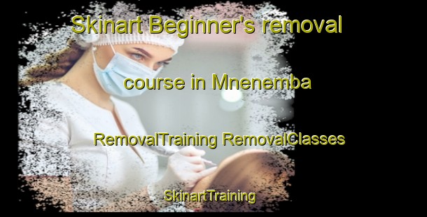 Skinart Beginner's removal course in Mnenemba | #RemovalTraining #RemovalClasses #SkinartTraining-South Africa