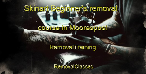 Skinart Beginner's removal course in Moorespost | RemovalTraining | RemovalClasses | SkinartTraining-South Africa