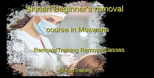 Skinart Beginner's removal course in Moswana | #RemovalTraining #RemovalClasses #SkinartTraining-South Africa