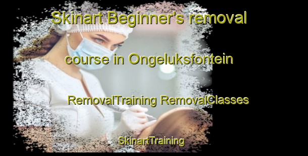 Skinart Beginner's removal course in Ongeluksfontein | #RemovalTraining #RemovalClasses #SkinartTraining-South Africa