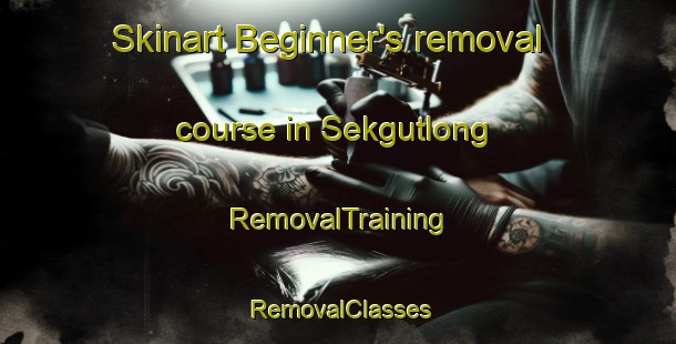 Skinart Beginner's removal course in Sekgutlong | RemovalTraining | RemovalClasses | SkinartTraining-South Africa