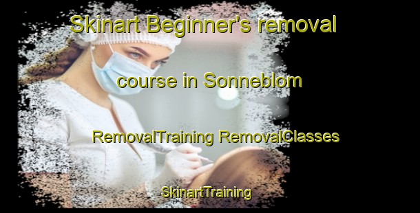 Skinart Beginner's removal course in Sonneblom | #RemovalTraining #RemovalClasses #SkinartTraining-South Africa