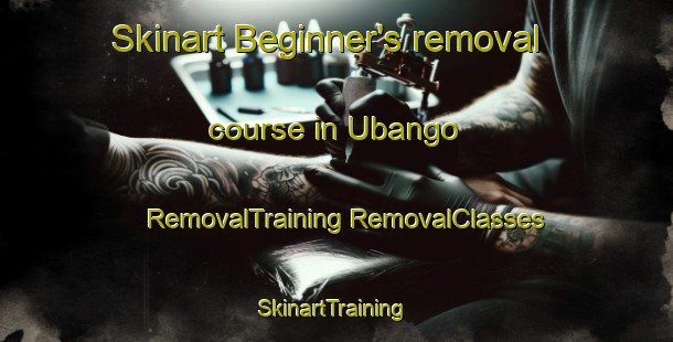 Skinart Beginner's removal course in Ubango | #RemovalTraining #RemovalClasses #SkinartTraining-South Africa