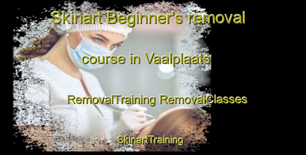 Skinart Beginner's removal course in Vaalplaats | #RemovalTraining #RemovalClasses #SkinartTraining-South Africa