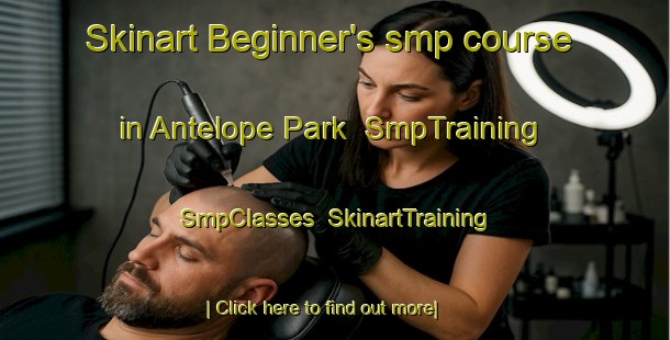 Skinart Beginner's smp course in Antelope Park | SmpTraining | SmpClasses | SkinartTraining-South Africa