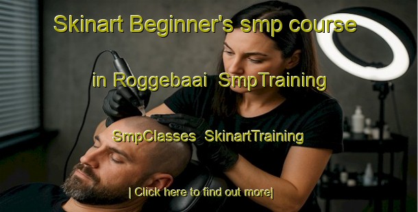 Skinart Beginner's smp course in Roggebaai | SmpTraining | SmpClasses | SkinartTraining-South Africa