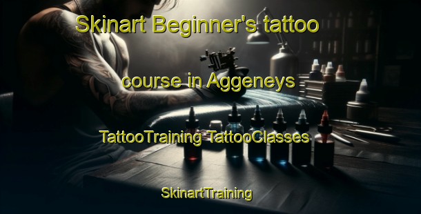 Skinart Beginner's tattoo course in Aggeneys | #TattooTraining #TattooClasses #SkinartTraining-South Africa