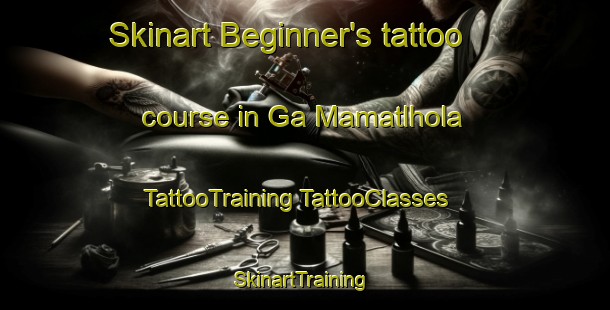 Skinart Beginner's tattoo course in Ga Mamatlhola | #TattooTraining #TattooClasses #SkinartTraining-South Africa