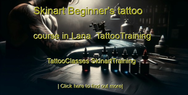 Skinart Beginner's tattoo course in Lana | #TattooTraining #TattooClasses #SkinartTraining-South Africa