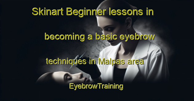 Skinart Beginner lessons in becoming a basic eyebrow techniques in Malpas area | EyebrowTraining | EyebrowClasses | SkinartTraining-South Africa
