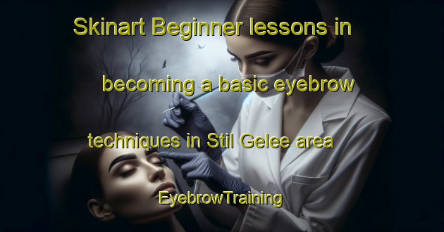 Skinart Beginner lessons in becoming a basic eyebrow techniques in Stil Gelee area | EyebrowTraining | EyebrowClasses | SkinartTraining-South Africa