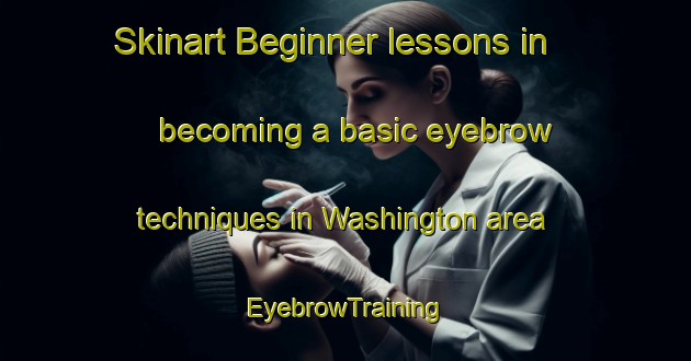 Skinart Beginner lessons in becoming a basic eyebrow techniques in Washington area | EyebrowTraining | EyebrowClasses | SkinartTraining-South Africa