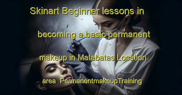 Skinart Beginner lessons in becoming a basic permanent makeup in Matabatas Location area | PermanentmakeupTraining | PermanentmakeupClasses | SkinartTraining-South Africa