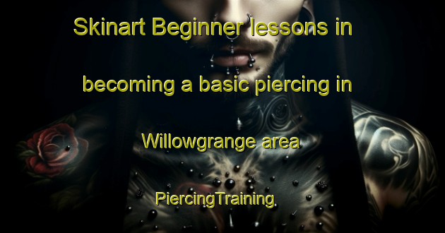 Skinart Beginner lessons in becoming a basic piercing in Willowgrange area | PiercingTraining | PiercingClasses | SkinartTraining-South Africa