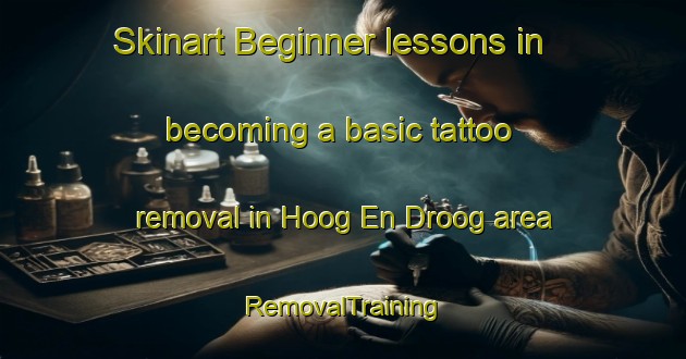 Skinart Beginner lessons in becoming a basic tattoo removal in Hoog En Droog area | RemovalTraining | RemovalClasses | SkinartTraining-South Africa