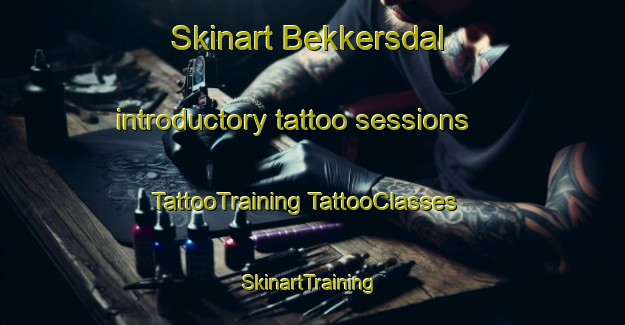 Skinart Bekkersdal introductory tattoo sessions | #TattooTraining #TattooClasses #SkinartTraining-South Africa