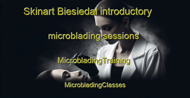 Skinart Biesiedal introductory microblading sessions | #MicrobladingTraining #MicrobladingClasses #SkinartTraining-South Africa