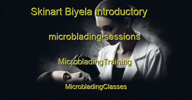 Skinart Biyela introductory microblading sessions | #MicrobladingTraining #MicrobladingClasses #SkinartTraining-South Africa