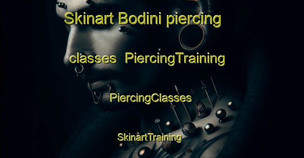 Skinart Bodini piercing classes | #PiercingTraining #PiercingClasses #SkinartTraining-South Africa