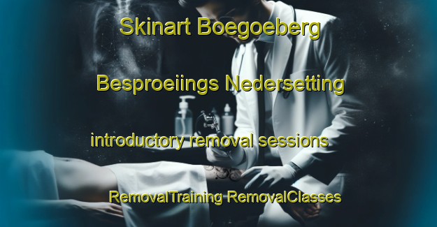 Skinart Boegoeberg Besproeiings Nedersetting introductory removal sessions | #RemovalTraining #RemovalClasses #SkinartTraining-South Africa