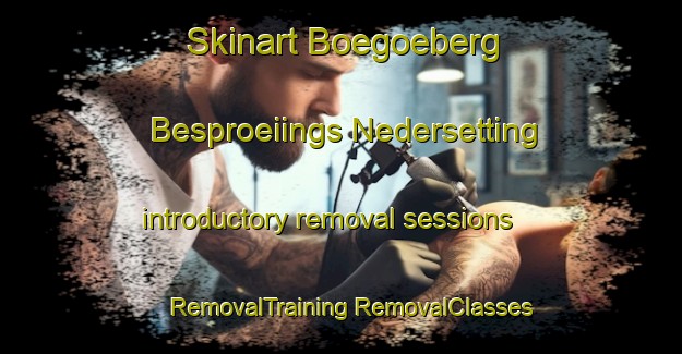 Skinart Boegoeberg Besproeiings Nedersetting introductory removal sessions | #RemovalTraining #RemovalClasses #SkinartTraining-South Africa