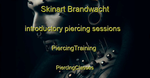 Skinart Brandwacht introductory piercing sessions | #PiercingTraining #PiercingClasses #SkinartTraining-South Africa