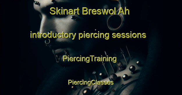 Skinart Breswol Ah introductory piercing sessions | #PiercingTraining #PiercingClasses #SkinartTraining-South Africa