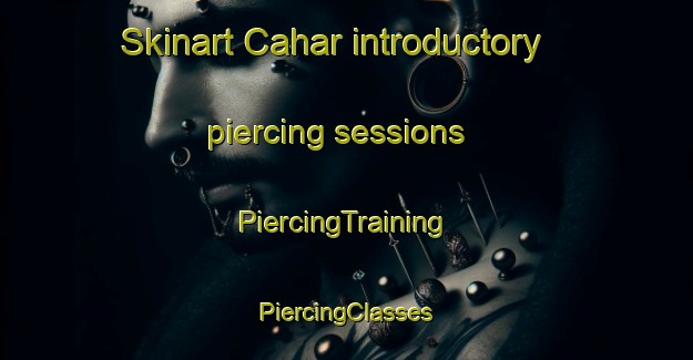 Skinart Cahar introductory piercing sessions | #PiercingTraining #PiercingClasses #SkinartTraining-South Africa