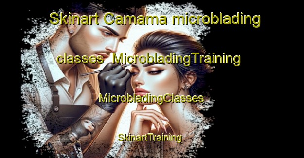 Skinart Camama microblading classes | #MicrobladingTraining #MicrobladingClasses #SkinartTraining-South Africa