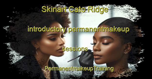 Skinart Cato Ridge introductory permanentmakeup sessions | #PermanentmakeupTraining #PermanentmakeupClasses #SkinartTraining-South Africa