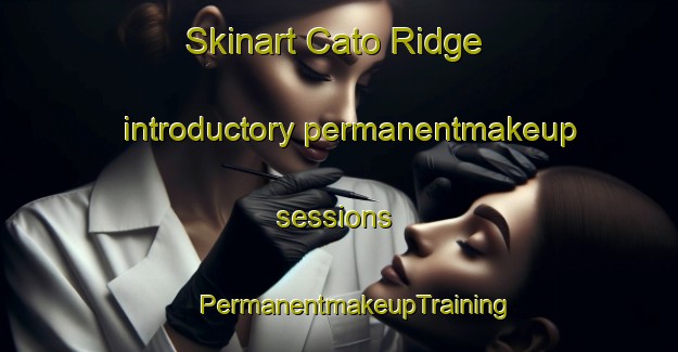 Skinart Cato Ridge introductory permanentmakeup sessions | #PermanentmakeupTraining #PermanentmakeupClasses #SkinartTraining-South Africa