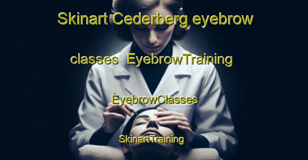 Skinart Cederberg eyebrow classes | EyebrowTraining | EyebrowClasses | SkinartTraining-South Africa