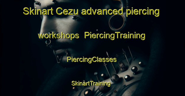 Skinart Cezu advanced piercing workshops | #PiercingTraining #PiercingClasses #SkinartTraining-South Africa