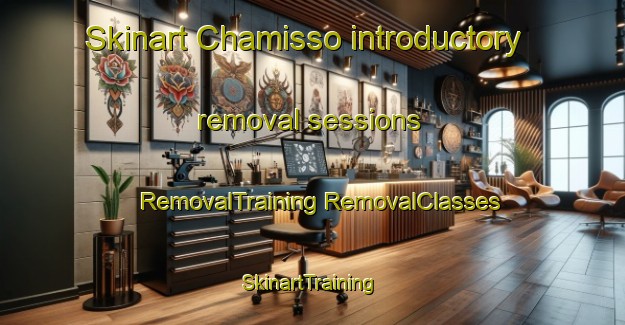 Skinart Chamisso introductory removal sessions | #RemovalTraining #RemovalClasses #SkinartTraining-South Africa