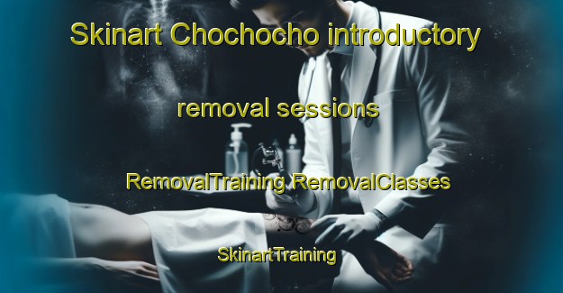 Skinart Chochocho introductory removal sessions | #RemovalTraining #RemovalClasses #SkinartTraining-South Africa