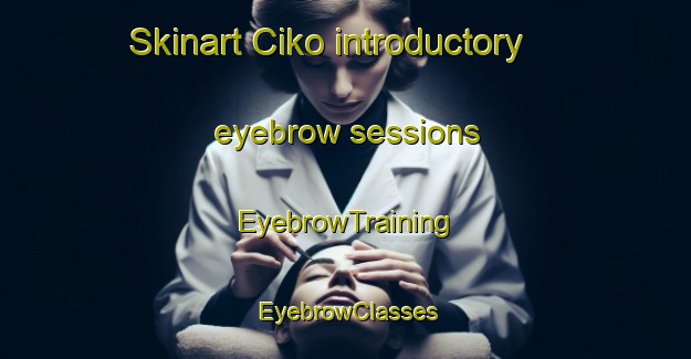 Skinart Ciko introductory eyebrow sessions | EyebrowTraining | EyebrowClasses | SkinartTraining-South Africa