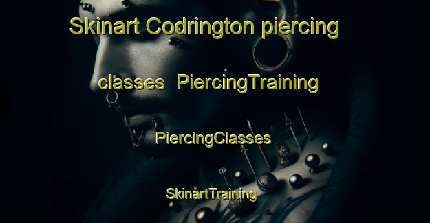 Skinart Codrington piercing classes | #PiercingTraining #PiercingClasses #SkinartTraining-South Africa