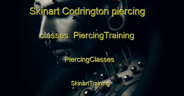 Skinart Codrington piercing classes | PiercingTraining | PiercingClasses | SkinartTraining-South Africa