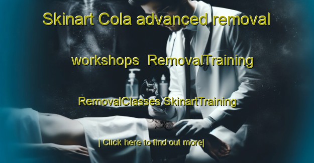 Skinart Cola advanced removal workshops | #RemovalTraining #RemovalClasses #SkinartTraining-South Africa