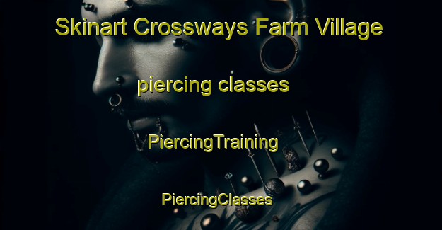 Skinart Crossways Farm Village piercing classes | PiercingTraining | PiercingClasses | SkinartTraining-South Africa