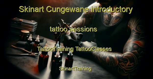 Skinart Cungewane introductory tattoo sessions | #TattooTraining #TattooClasses #SkinartTraining-South Africa