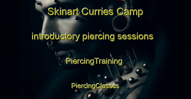 Skinart Curries Camp introductory piercing sessions | #PiercingTraining #PiercingClasses #SkinartTraining-South Africa