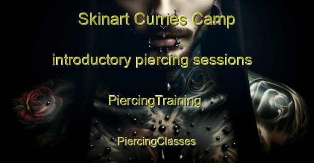 Skinart Curries Camp introductory piercing sessions | #PiercingTraining #PiercingClasses #SkinartTraining-South Africa