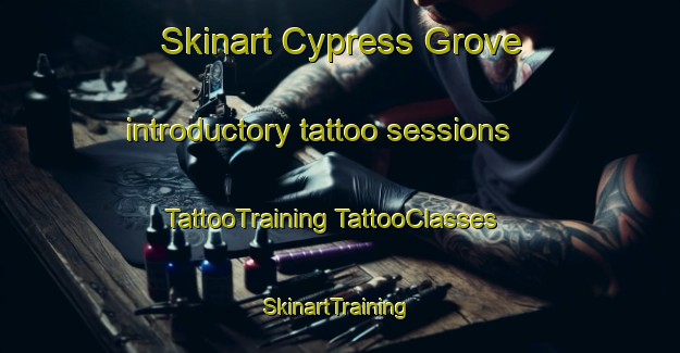 Skinart Cypress Grove introductory tattoo sessions | #TattooTraining #TattooClasses #SkinartTraining-South Africa