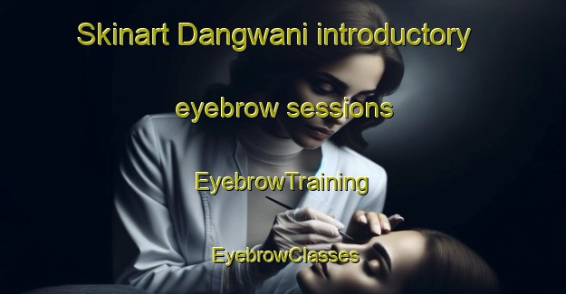 Skinart Dangwani introductory eyebrow sessions | EyebrowTraining | EyebrowClasses | SkinartTraining-South Africa