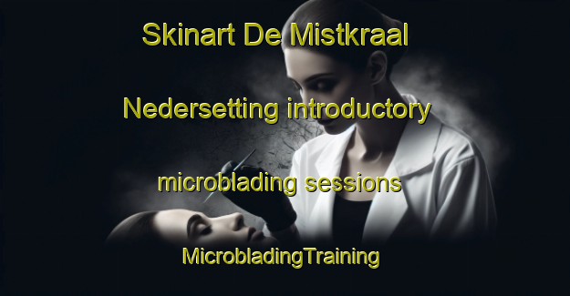 Skinart De Mistkraal Nedersetting introductory microblading sessions | #MicrobladingTraining #MicrobladingClasses #SkinartTraining-South Africa