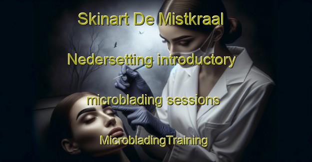 Skinart De Mistkraal Nedersetting introductory microblading sessions | #MicrobladingTraining #MicrobladingClasses #SkinartTraining-South Africa