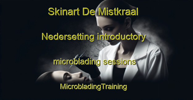 Skinart De Mistkraal Nedersetting introductory microblading sessions | MicrobladingTraining | MicrobladingClasses | SkinartTraining-South Africa