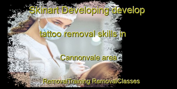 Skinart Developing develop tattoo removal skills in Cannonvale area | #RemovalTraining #RemovalClasses #SkinartTraining-South Africa